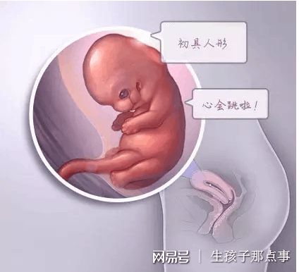 供卵代孕要多少费用